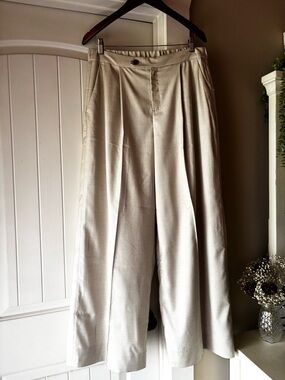 Banana Republic Women’s Wide-Leg Pleated Chinos in Light Cream